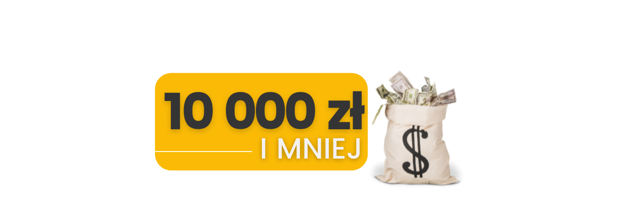 w co zainwestować 10000zł
