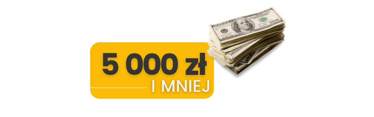 w co zainwestować 5 tys. pln