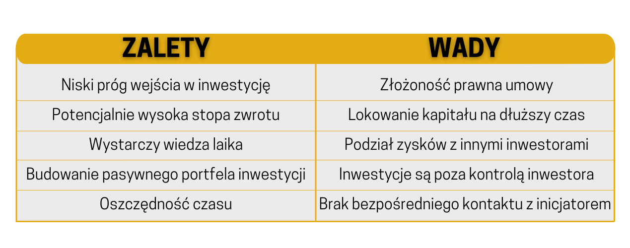 grupowe inwestowanie w nieruchomości wady i zalety