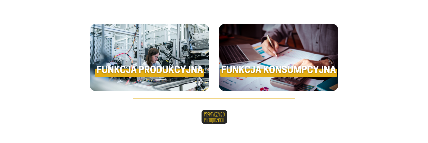 Funkcje ekonomiczne gospodarstw domowych