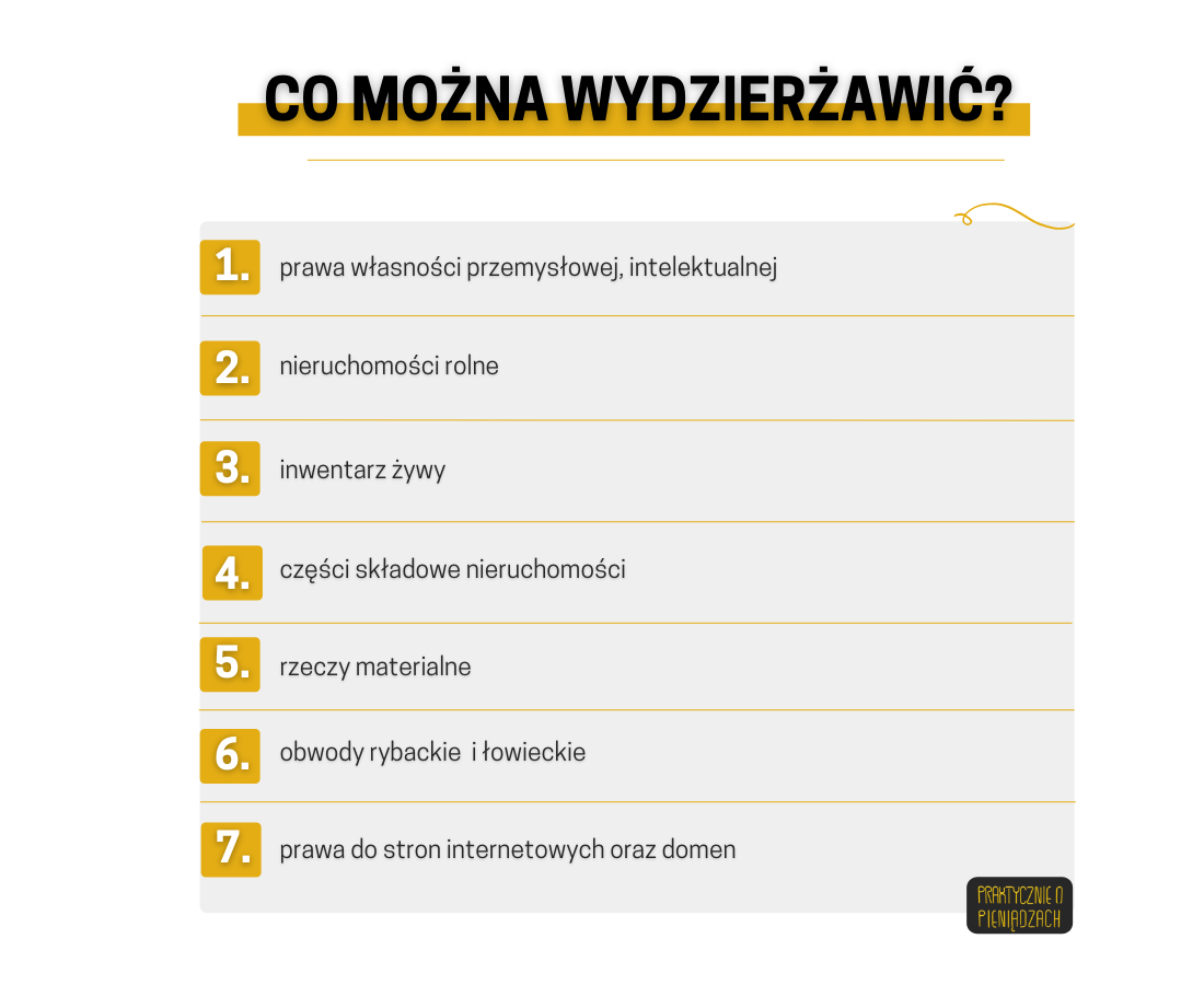 Co można wydzierżawić?